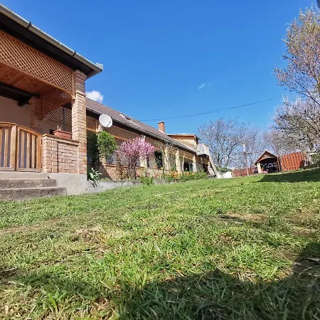 Henrietta Vendeghaz Apartment Domoszlo Exterior photo