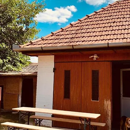 Henrietta Vendeghaz Apartment Domoszlo Exterior photo